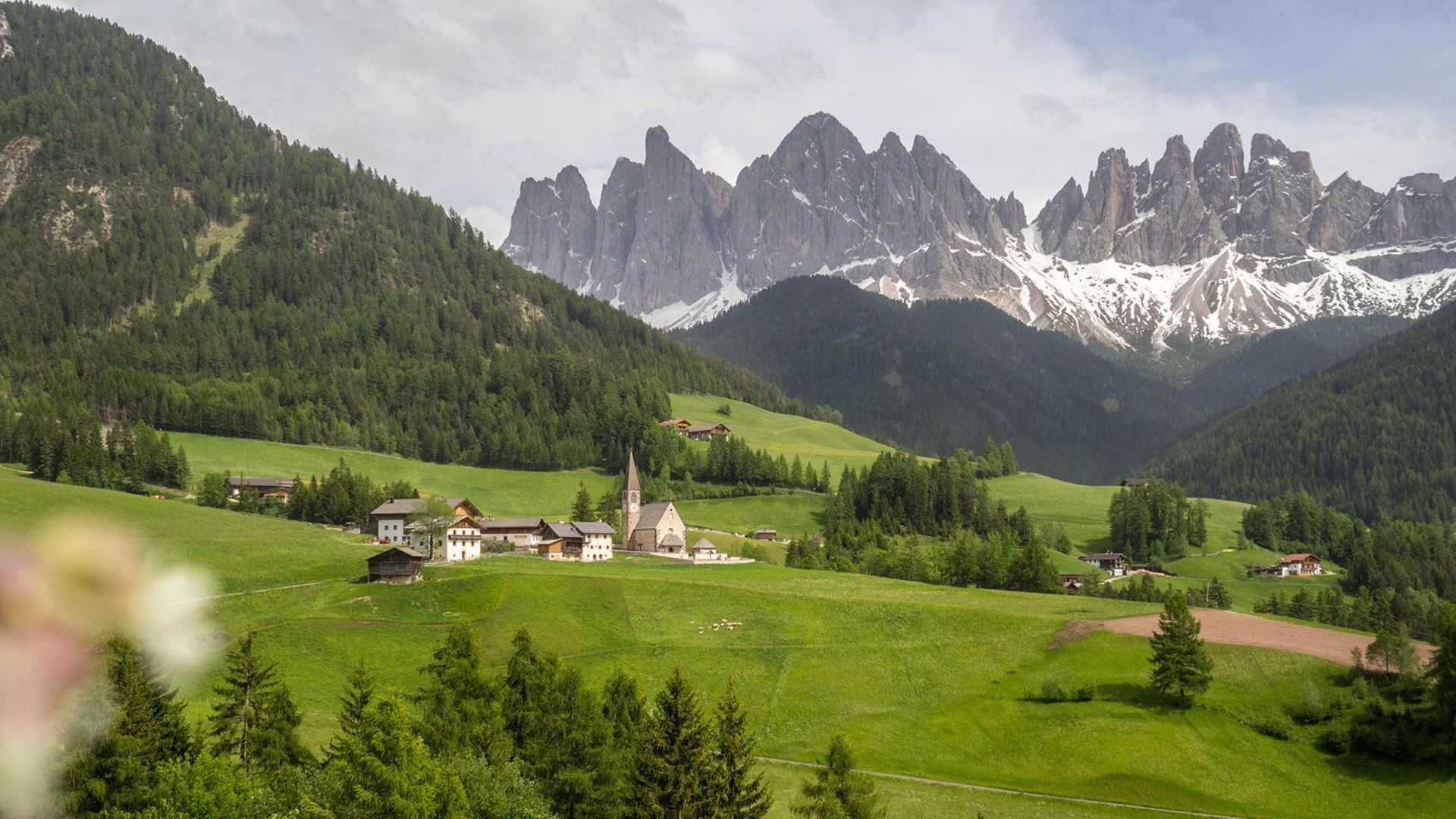 Villa Messner — foto 7
